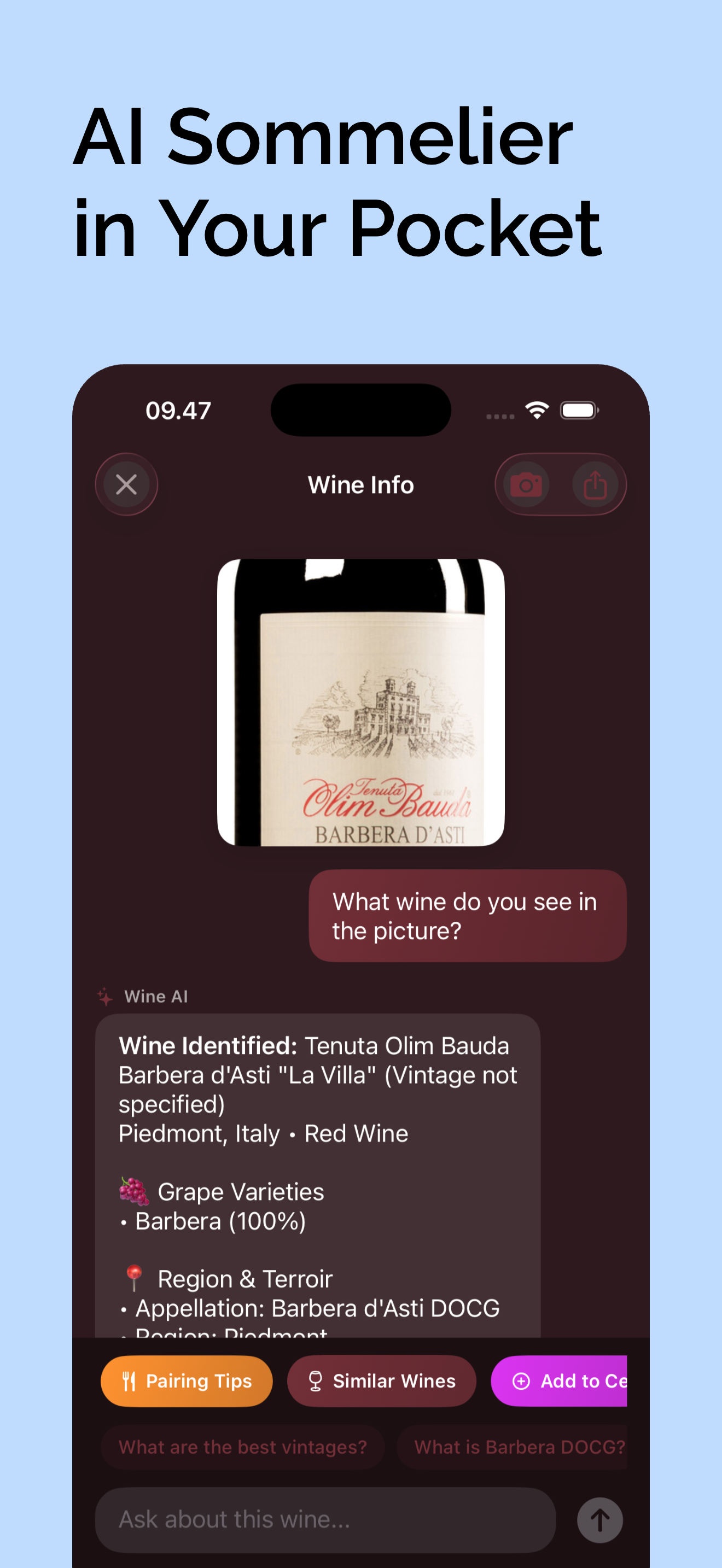 AI sommelier chat showing wine conversation